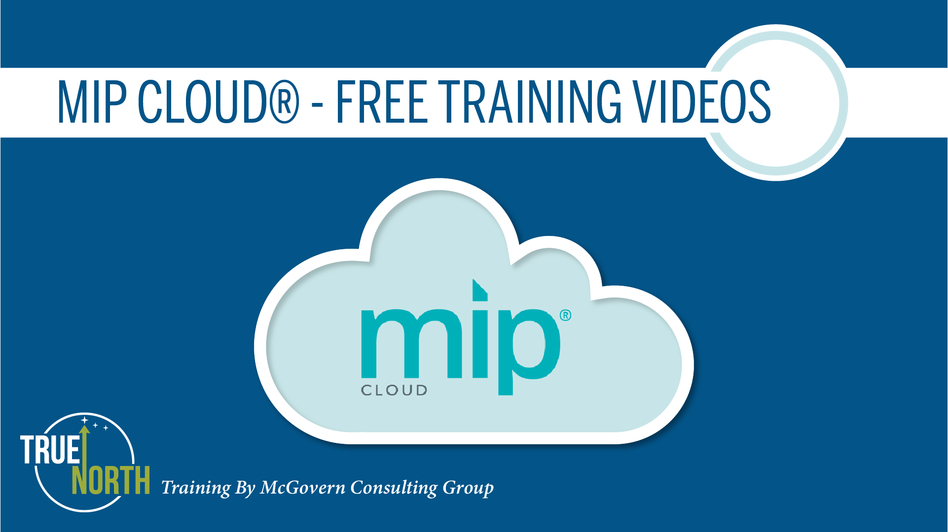 MIP Cloud training